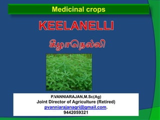 Medicinal crops
P.VANNIARAJAN,M.Sc(Ag)
Joint Director of Agriculture (Retired)
pvanniarajanagri@gmail.com.
9442059321
 