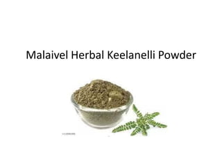 Malaivel Herbal Keelanelli Powder
 
