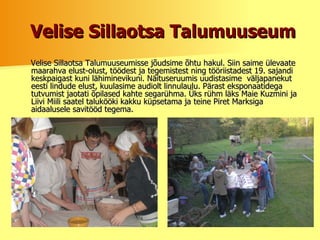 Velise Sillaotsa Talumuuseum Velise Sillaotsa Talumuuseumisse jõudsime õhtu hakul. Siin saime ülevaate maarahva elust-olust, töödest ja tegemistest ning tööriistadest 19. sajandi keskpaigast kuni lähiminevikuni. Näituseruumis uudistasime  väljapanekut eesti lindude elust, kuulasime audiolt linnulaulu. Pärast eksponaatidega tutvumist jaotati õpilased kahte segarühma. Üks rühm läks Maie Kuzmini ja Liivi Miili saatel talukööki kakku küpsetama ja teine Piret Marksiga aidaalusele savitööd tegema . 
