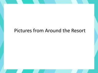 Pictures from Around the Resort
 