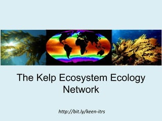 The Kelp Ecosystem Ecology
Network
http://bit.ly/keen-itrs
 