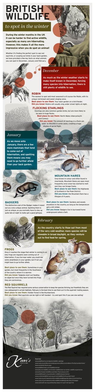 Keens British Wildlife to Spot in the Winter