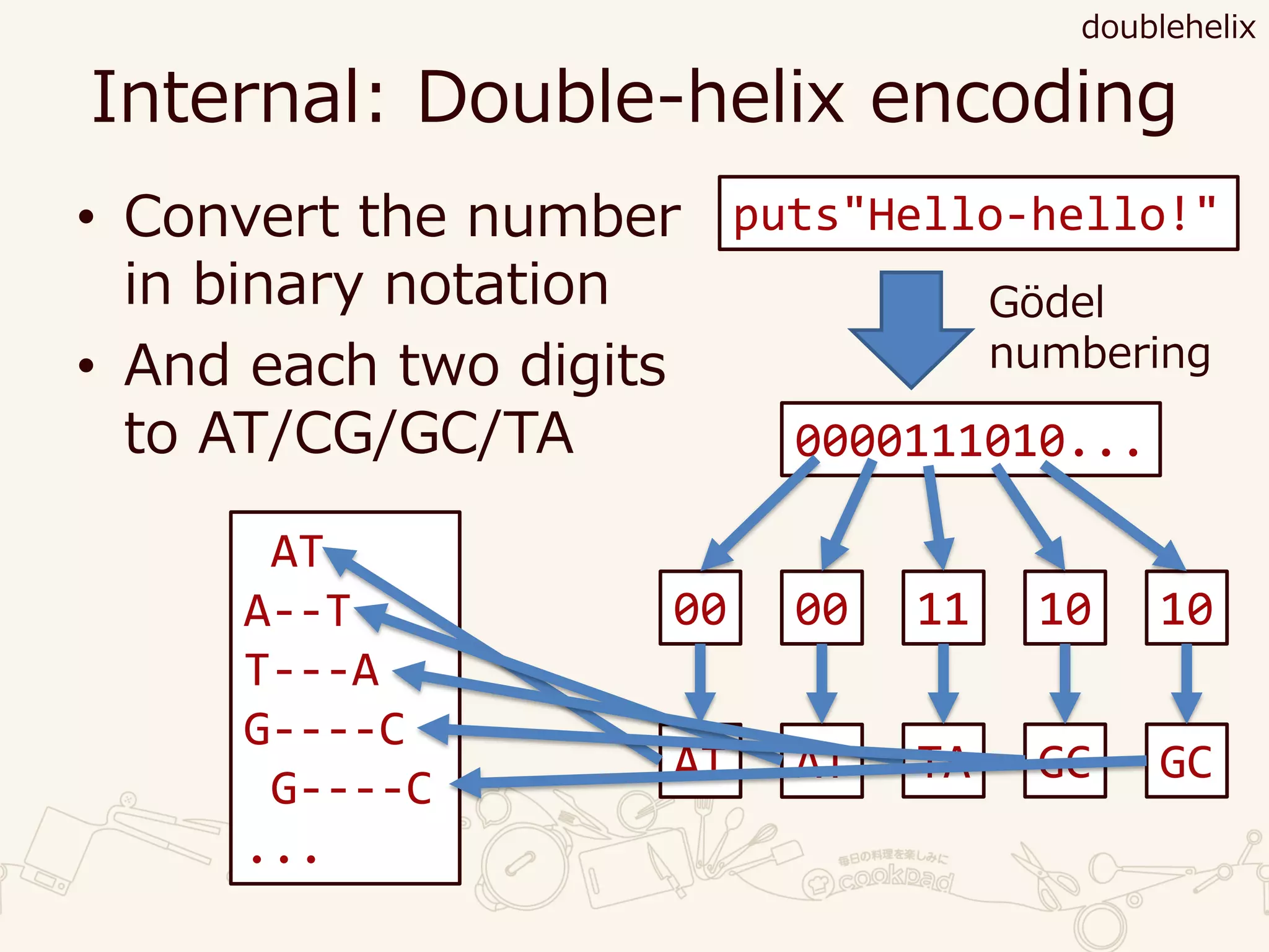 Internal: Double-helix encoding
• Convert the number
in binary notation
• And each two digits
to AT/CG/GC/TA
doublehelix
0000111010...
puts"Hello-hello!"
Gödel
numbering
00 00 11 10 10
AT AT TA GC GC
AT
A--T
T---A
G----C
G----C
...
 