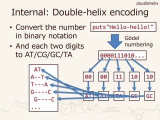 Internal: Double-helix encoding
• Convert the number
in binary notation
• And each two digits
to AT/CG/GC/TA
doublehelix
0000111010...
puts"Hello-hello!"
Gödel
numbering
00 00 11 10 10
AT AT TA GC GC
AT
A--T
T---A
G----C
G----C
...
 