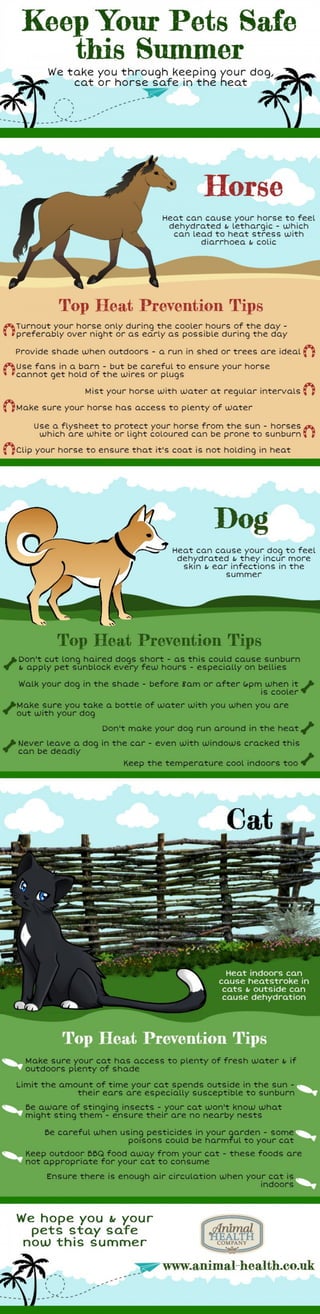 Keep Your Pets Safe this Summer