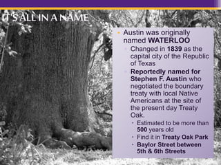 IT'S ALLIN ANAME
• Austin was originally
named WATERLOO
▫ Changed in 1839 as the
capital city of the Republic
of Texas
▫ Reportedly named for
Stephen F. Austin who
negotiated the boundary
treaty with local Native
Americans at the site of
the present day Treaty
Oak.
 Estimated to be more than
500 years old
 Find it in Treaty Oak Park
 Baylor Street between
5th & 6th Streets
 