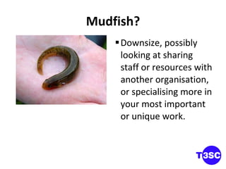 Mudfish? Downsize, possibly looking at sharing staff or resources with another organisation, or specialising more in your most important or unique work.  