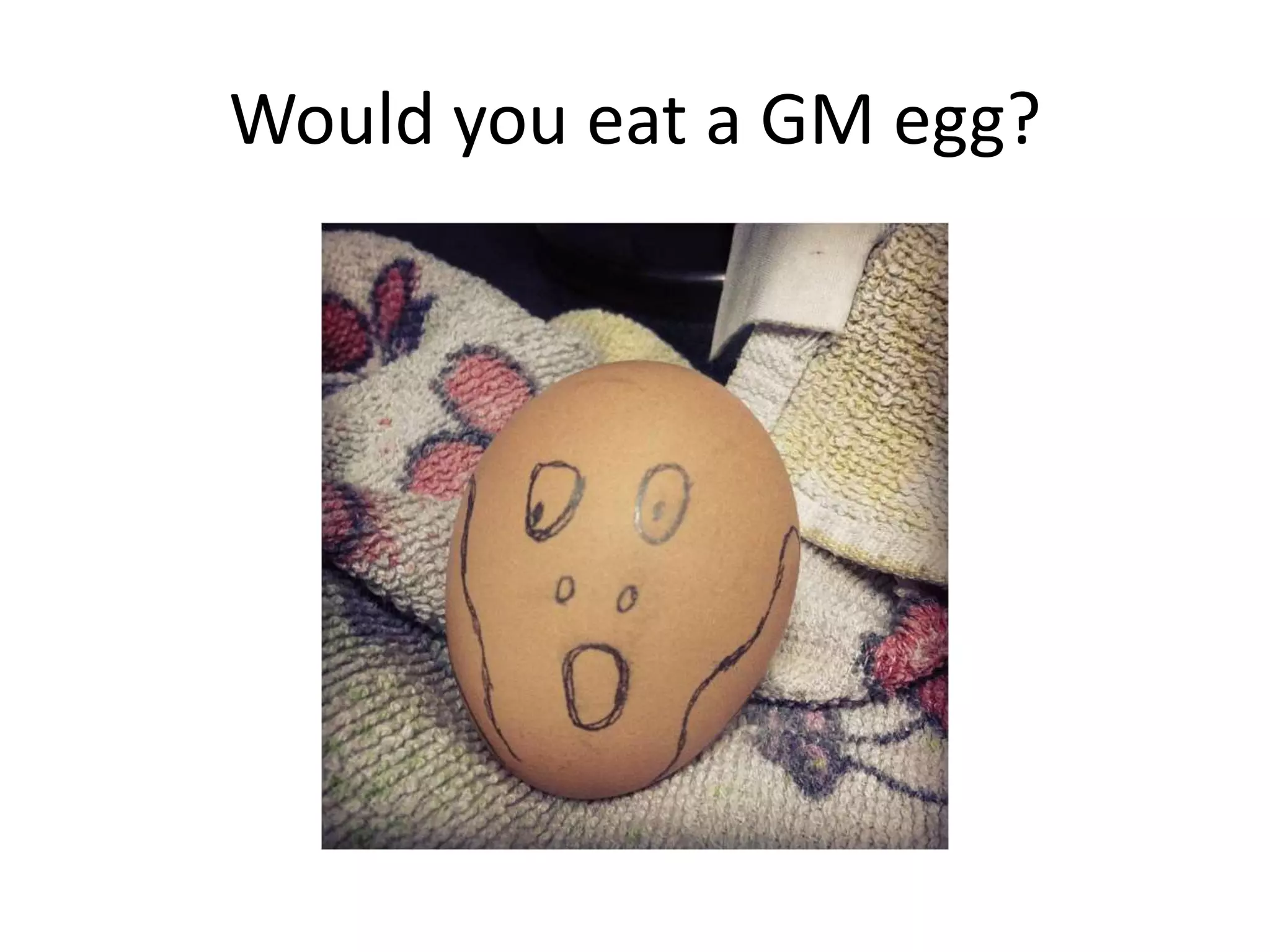 Would you eat a GM egg?

 