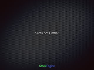 “Ants not Cattle”
 