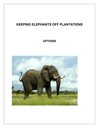 KEEPING ELEPHANTS OFF PLANTATIONS
OPTIONS
 