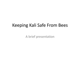 Keeping Kali Safe From Bees 
A brief presentation 
 
