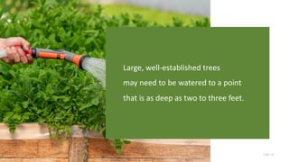 Page 10
Large, well-established trees
may need to be watered to a point
that is as deep as two to three feet.
 