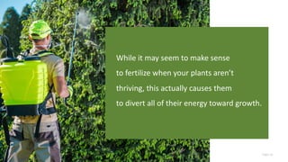 Page 14
While it may seem to make sense
to fertilize when your plants aren’t
thriving, this actually causes them
to divert all of their energy toward growth.
 