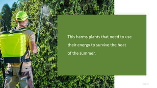 Page 15
This harms plants that need to use
their energy to survive the heat
of the summer.
 