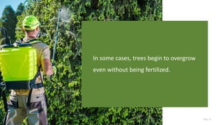 Page 16
In some cases, trees begin to overgrow
even without being fertilized.
 