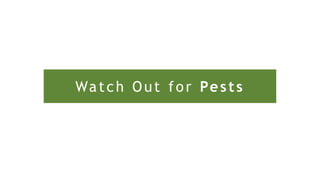 Watch Out for Pests
 