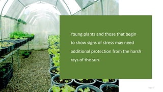 Page 27
Young plants and those that begin
to show signs of stress may need
additional protection from the harsh
rays of the sun.
 