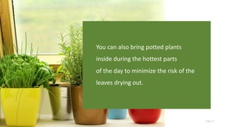 Page 29
You can also bring potted plants
inside during the hottest parts
of the day to minimize the risk of the
leaves drying out.
 