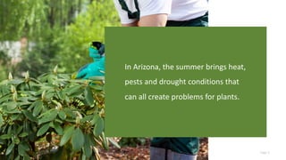 Page 3
In Arizona, the summer brings heat,
pests and drought conditions that
can all create problems for plants.
 