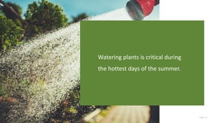 Page 31
Watering plants is critical during
the hottest days of the summer.
 