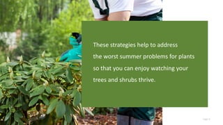 Page 4
These strategies help to address
the worst summer problems for plants
so that you can enjoy watching your
trees and shrubs thrive.
 