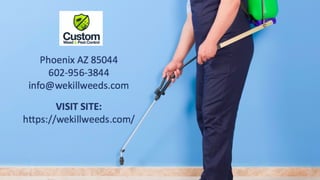 Keeping Plants Healthy During Summer 