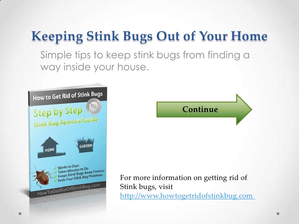 Keeping stink bugs out of your home