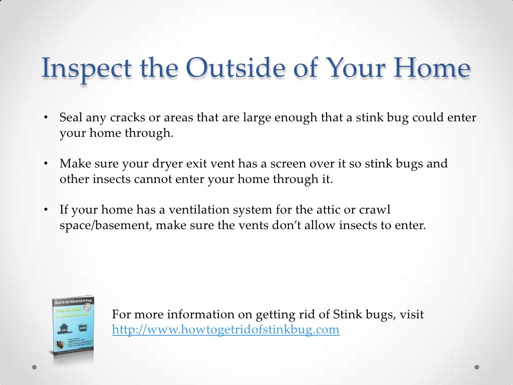 Keeping stink bugs out of your home