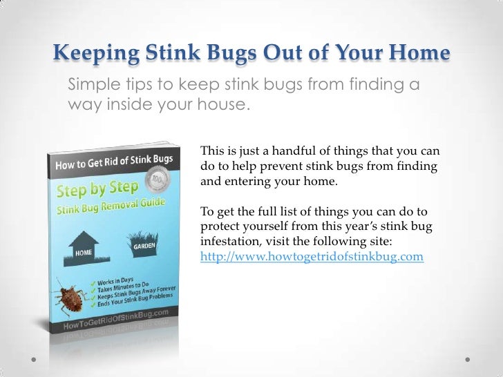Keeping stink bugs out of your home