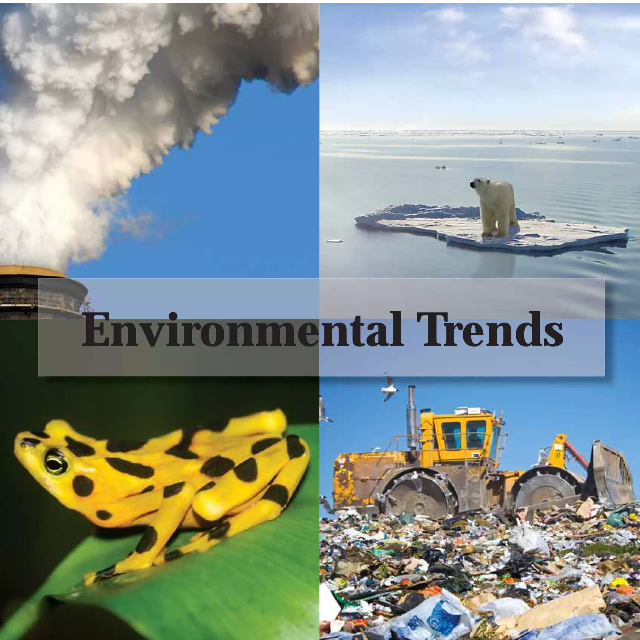 Environmental Trends




         18
 