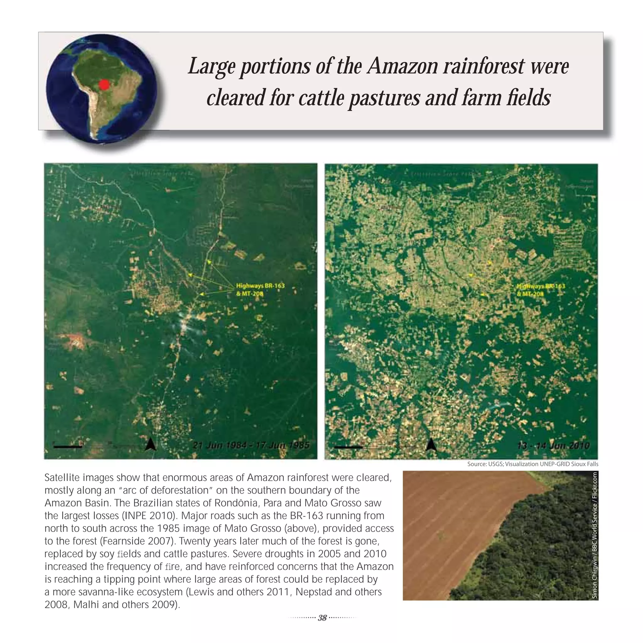 Large portions of the Amazon rainforest were
                                 cleared for cattle pastures and farm ﬁelds




                                                                                 Source: USGS; Visualization UNEP-GRID Sioux Falls

Satellite images show that enormous areas of Amazon rainforest were cleared,




                                                                                                                               Simon Chirgwin / BBC World Service / Flickr.com
mostly along an “arc of deforestation” on the southern boundary of the
Amazon Basin. The Brazilian states of Rondônia, Para and Mato Grosso saw
the largest losses (INPE 2010). Major roads such as the BR-163 running from
north to south across the 1985 image of Mato Grosso (above), provided access
to the forest (Fearnside 2007). Twenty years later much of the forest is gone,
replaced by soy ﬁelds and cattle pastures. Severe droughts in 2005 and 2010
increased the frequency of ﬁre, and have reinforced concerns that the Amazon
is reaching a tipping point where large areas of forest could be replaced by
a more savanna-like ecosystem (Lewis and others 2011, Nepstad and others
2008, Malhi and others 2009).
                                                            38
 