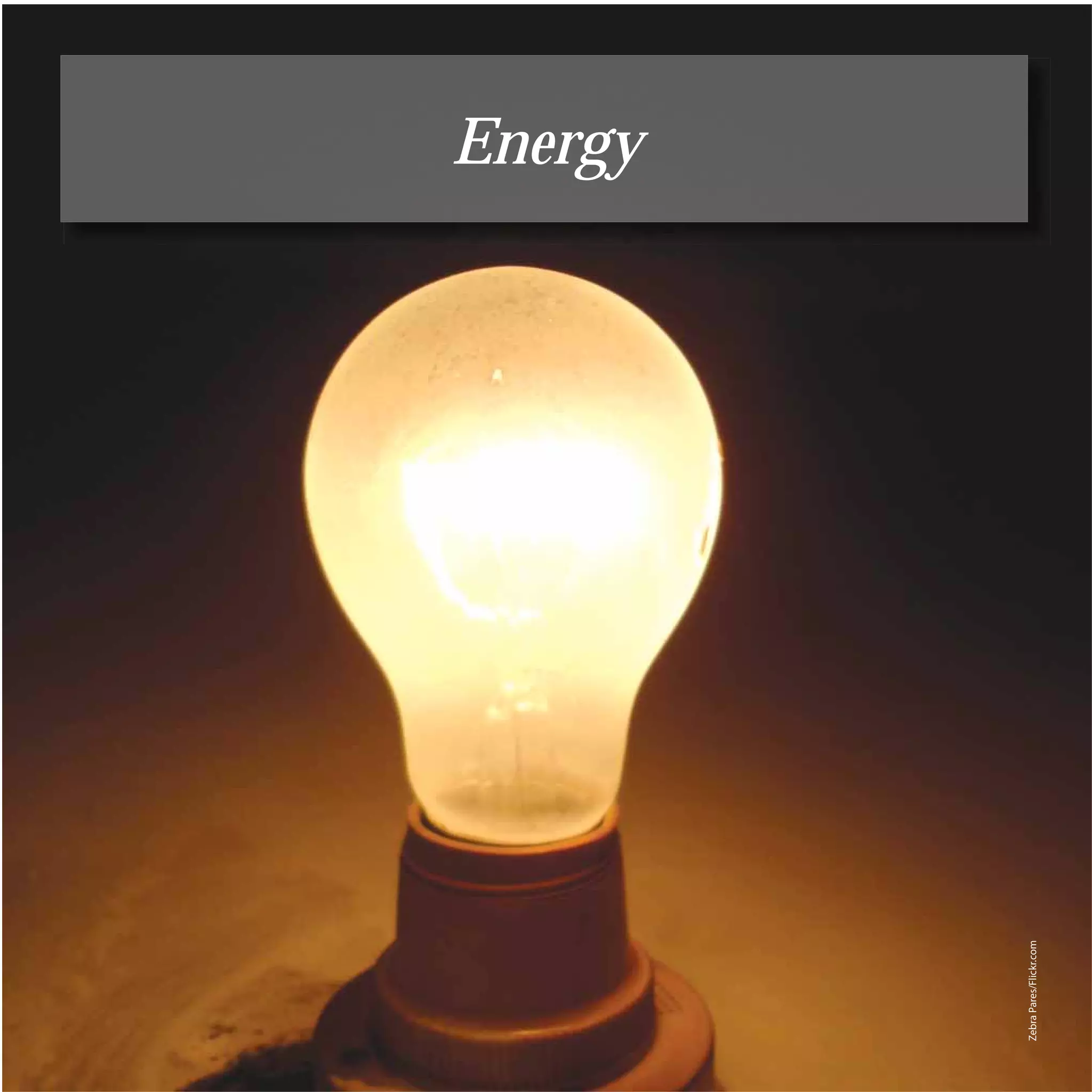 73
                              Energy




     Zebra Pares/Flickr.com
 