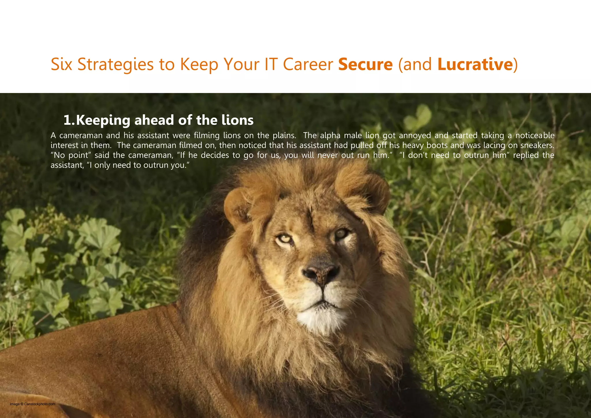 © Two Hills Ltd. 2009-2011 All rights reserved. Page 5
Six Strategies to Keep Your IT Career Secure (and Lucrative)
1.Keeping ahead of the lions
A cameraman and his assistant were filming lions on the plains. The alpha male lion got annoyed and started taking a noticeable
interest in them. The cameraman filmed on, then noticed that his assistant had pulled off his heavy boots and was lacing on sneakers.
“No point” said the cameraman, “If he decides to go for us, you will never out run him.” “I don’t need to outrun him” replied the
assistant, “I only need to outrun you.”
Image © Canstockphoto.com
 