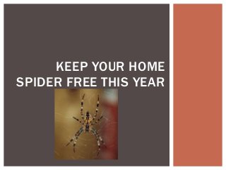 KEEP YOUR HOME
SPIDER FREE THIS YEAR
 