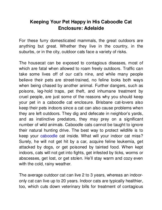 Keeping Your Pet Happy in His Caboodle Cat Enclosure Adelaide