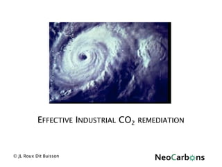 © JL Roux Dit Buisson
EFFECTIVE INDUSTRIAL CO2 REMEDIATION
 