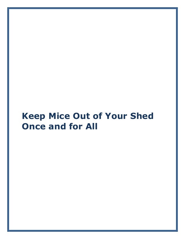 Keep Mice Out of Your Shed Once and for All