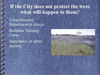 If the City does not protect the trees
what will happen to them?
● Urban Forestry
Department in charge
● Redskins Training
Camp
● Importance of urban
forestry
 