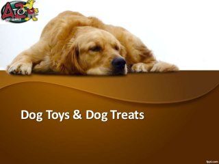 Dog Toys & Dog Treats
 