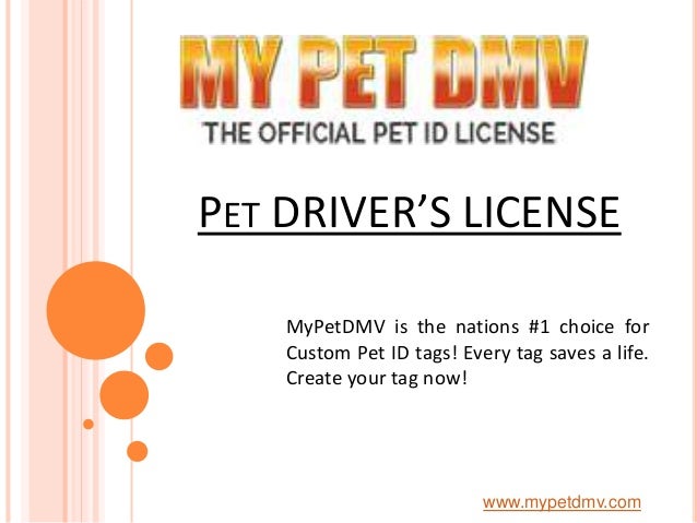 pet driver's license id tag