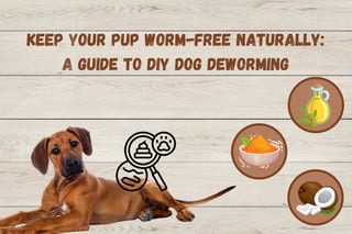 Keep Your Pup Worm-Free Naturally:
A Guide to DIY Dog Deworming
 