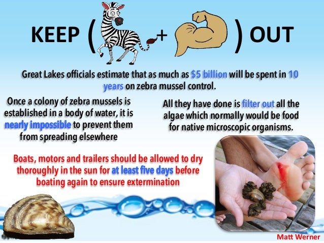 Keep zebra mussels out