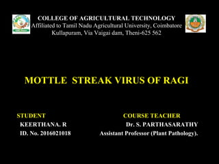 STUDENT COURSE TEACHER
KEERTHANA. R Dr. S. PARTHASARATHY
ID. No. 2016021018 Assistant Professor (Plant Pathology).
COLLEGE OF AGRICULTURAL TECHNOLOGY
Affiliated to Tamil Nadu Agricultural University, Coimbatore
Kullapuram, Via Vaigai dam, Theni-625 562
MOTTLE STREAK VIRUS OF RAGI
 