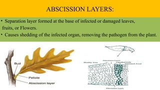 Structural &Biochemical defense mechanism in plants ppt | PPTX