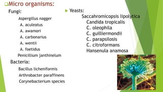 Hansenula Draw Citric Acid Production | PPTX