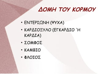 ΔΟΜΗ ΤΟΥ ΚΟΡΜΟΥ
●
ΕΝΤΕΡΙΩΝΗ (ΨΥΧΑ)
●
ΚΑΡΔΙΟΞΥΛΟ (ΕΓΚΑΡΔΙΟ 'Η
ΚΑΡΔΙΑ)
●
ΣΟΜΦΟΣ
●
ΚΑΜΒΙΟ
●
ΦΛΟΙΟΣ
 