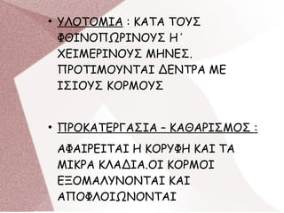 ●
ΥΛΟΤΟΜΙΑ : ΚΑΤΑ ΤΟΥΣ
ΦΘΙΝΟΠΩΡΙΝΟΥΣ Η΄
ΧΕΙΜΕΡΙΝΟΥΣ ΜΗΝΕΣ.
ΠΡΟΤΙΜΟΥΝΤΑΙ ΔΕΝΤΡΑ ΜΕ
ΙΣΙΟΥΣ ΚΟΡΜΟΥΣ
●
ΠΡΟΚΑΤΕΡΓΑΣΙΑ – ΚΑΘΑΡΙΣΜΟΣ :
ΑΦΑΙΡΕΙΤΑΙ Η ΚΟΡΥΦΗ ΚΑΙ ΤΑ
ΜΙΚΡΑ ΚΛΑΔΙΑ.ΟΙ ΚΟΡΜΟΙ
ΕΞΟΜΑΛΥΝΟΝΤΑΙ ΚΑΙ
ΑΠΟΦΛΟΙΩΝΟΝΤΑΙ
 