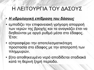 Η ΛΕΙΤΟΥΡΓΙΑ ΤΟΥ ΔΑΣΟΥΣ
● Η υδρολογική επίδραση του δάσους
● εμποδίζει την επιφανειακή γρήγορη απορροή
των νερών της βροχής και τα αναγκάζει έτσι να
διηθούνται με αργό ρυθμό μέσα στο έδαφος.
Έτσι:
● α)προσφέρει την αποτελεσματικότερη
προστασία στο έδαφος με την αποτροπή των
πλημμυρών.
● β)το αποθηκευμένο νερό αποδίδεται σταδιακά
κατά τη θερινή ξηρή περίοδο.
 