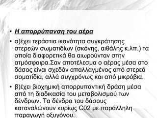 ● Η απορρύπανση του αέρα
● α)έχει τεράστια ικανότητα συγκράτησης
στερεών σωματιδίων (σκόνης, αιθάλης κ.λπ.) τα
οποία διαφορετικά θα αιωρούνταν στην
ατμόσφαιρα.Σαν αποτέλεσμα ο αέρας μέσα στο
δάσος είναι σχεδόν απαλλαγμένος από στερεά
σοματίδια, αλλά συγχρόνως και από μικρόβια.
● β)έχει βιοχημική απορρυπαντική δράση μέσα
από τη διαδικασία του μεταβολισμού των
δένδρων. Τα δένδρα του δάσους
καταναλώνουν κυρίως C02 με παράλληλη
παραγωγή οξυγόνου.
 