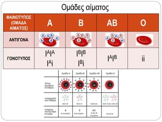 Ομάδες αίματος
ΦΑΙΝΟΤΥΠΟΣ
(ΟΜΑΔΑ
ΑΙΜΑΤΟΣ)
A B AB O
ΑΝΤΙΓΟΝΑ
ΓΟΝΟΤΥΠΟΣ
IAIA
IAi
IBIB
IBi
IAIB ii
 